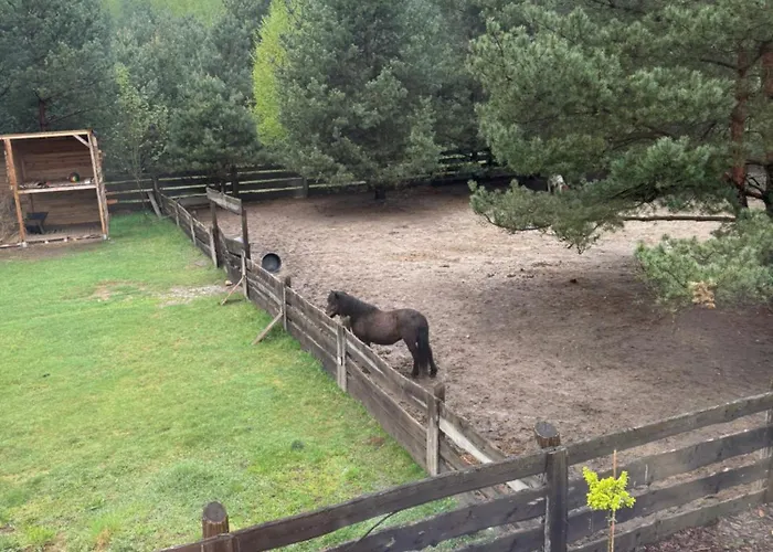 Stodoly Pod Gajem Z Balia I Sauna Chalet *